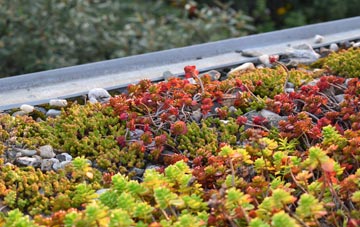 the cost of Kinawley green roof installation