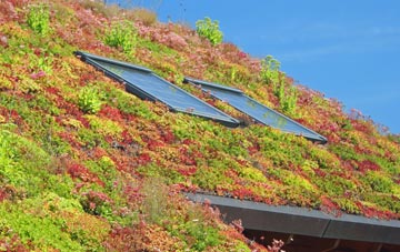 Kinawley living roof systems